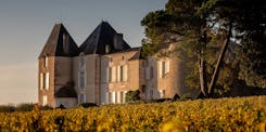 Vignes et Château d'Yquem